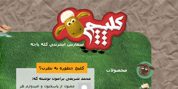 طراحی سایت کوچک